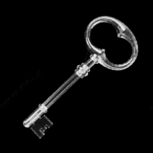 3d rendered key icon